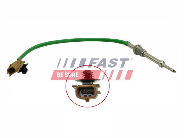 AVGASTEMPERATURGIVARE FT80238 FAST