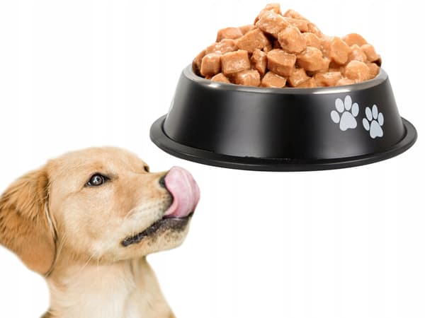 Skål til hund To Poter 30 (100) GAB_A