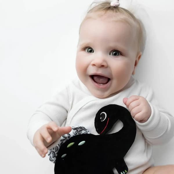Mom's Care Dinosaur 0+ Kontrastfärgade Skallror
