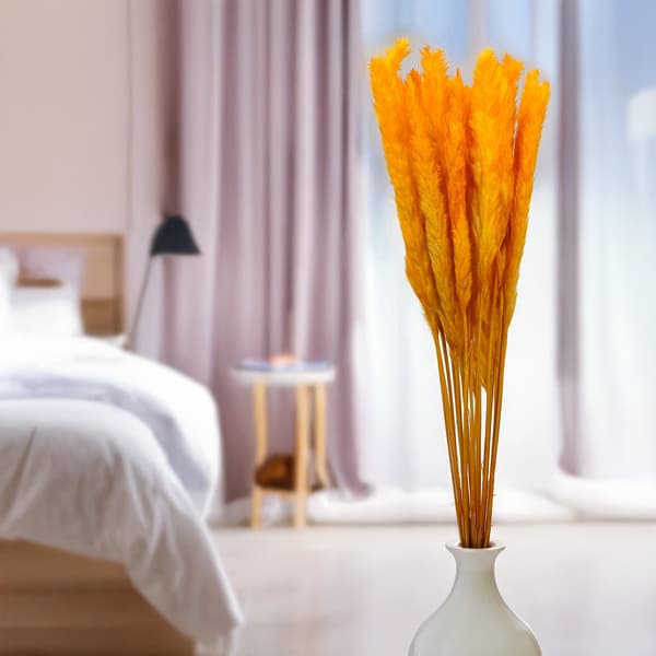 Mini Pampas Græs - Orange