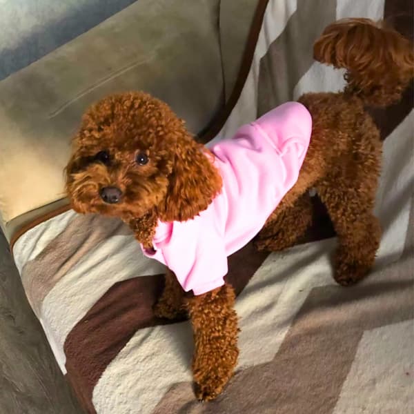 Hundjacka med huva varmfodrad storlek L