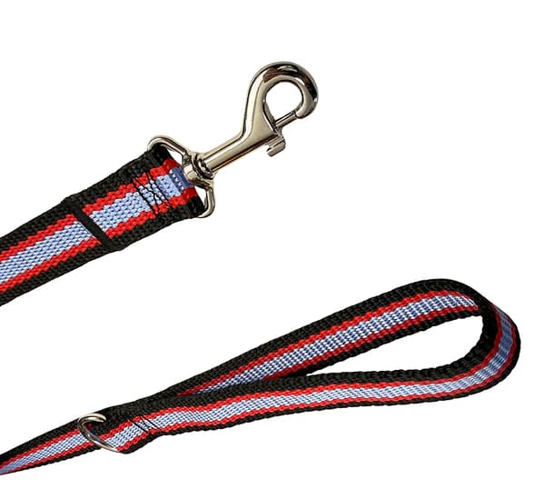 Klassisk hundesnor til gåture, solid, komfortabel, sort, rød, blå, M - 150cm