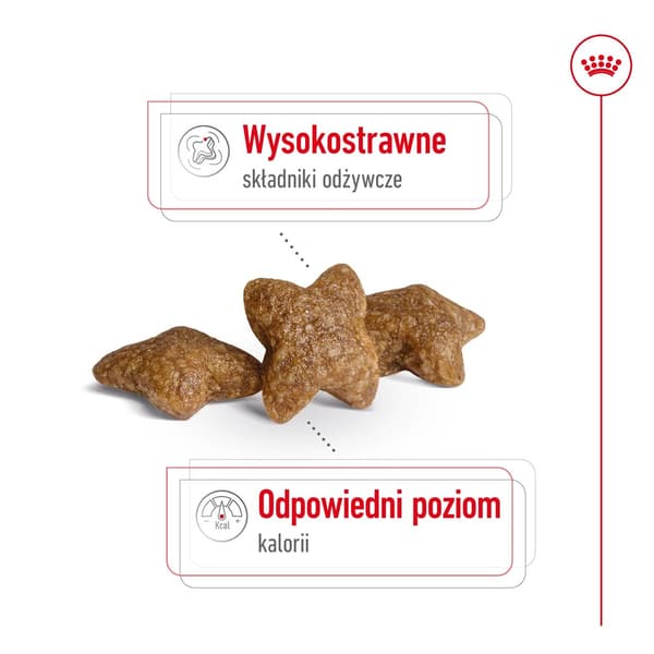Royal Canin SHN Mini Adult torrfoder för hundar 4 kg