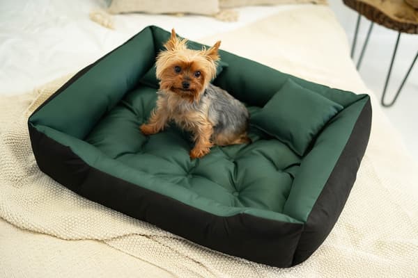 Hundeseng kennel ECCO 75x65 cm vandtæt grøn