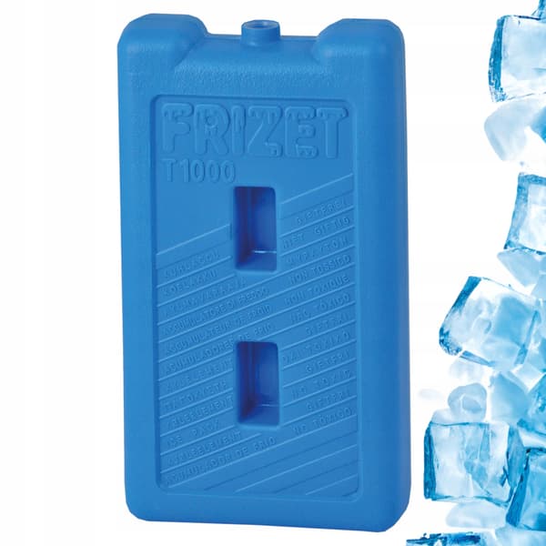 Fryseindsatser til rejsekøletasker, termopose, 2x 1L