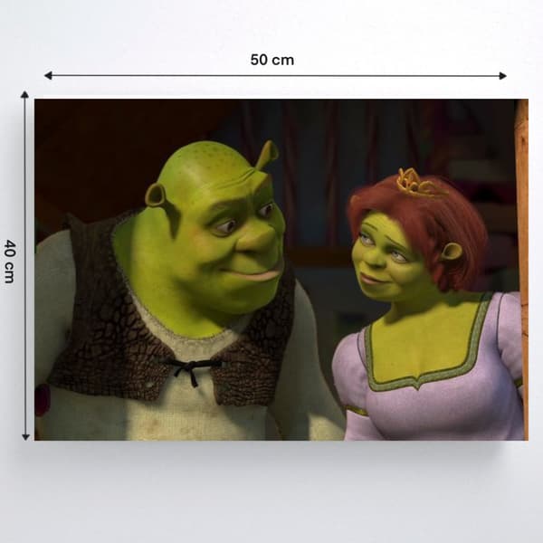 Maling efter tal med ramme Shrek og Fiona 50x40 cm