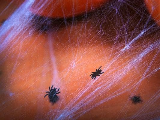Halloween edderkopkonfetti 15g 1 pakke