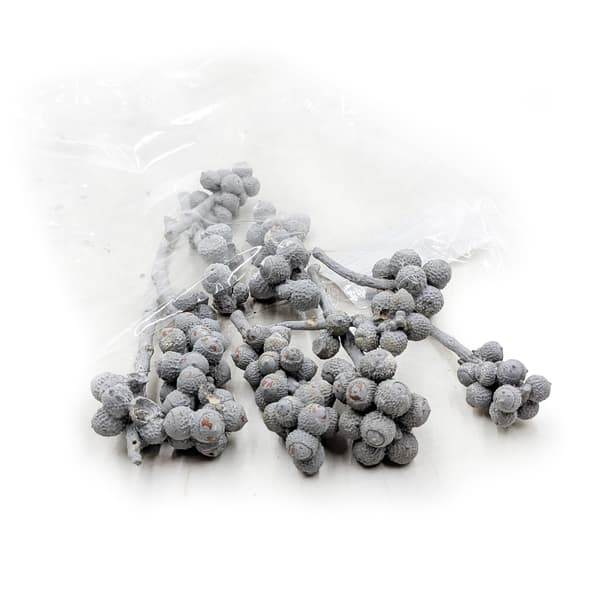 Ekollonknippe - Vittvättad - exotiska torkade örter - 10 st