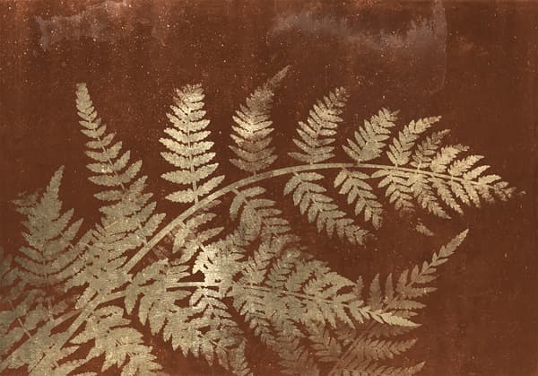 Fototapet - Magisk natt - tredje variant