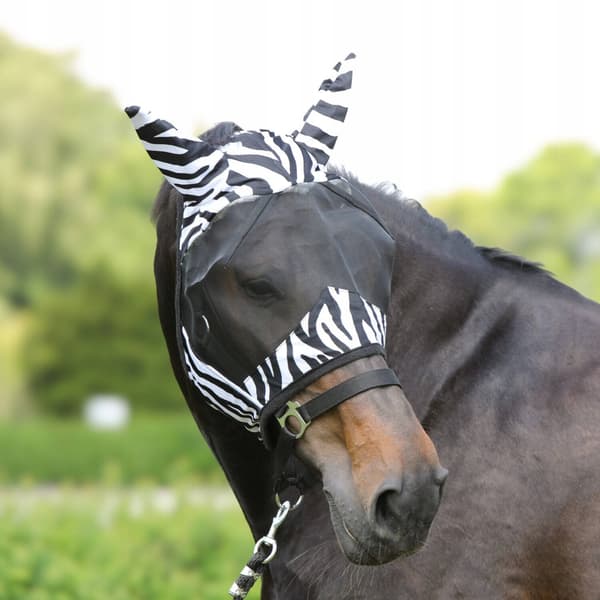 York Zebra Cob -kärpäsmaski - Mukava ja tehokas