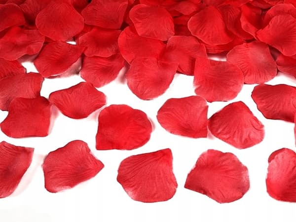 Valentinsdagssæt, hjerteballoner, banner