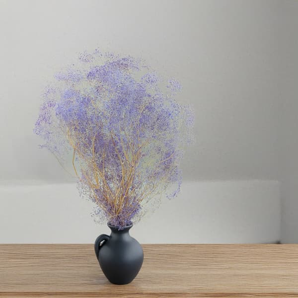 Stabiloitu Gypsophila MINI - (gypsophila) - Laventeli