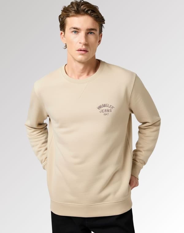 Wrangler Enfärgad Bomullströja Herr Liten Logo M