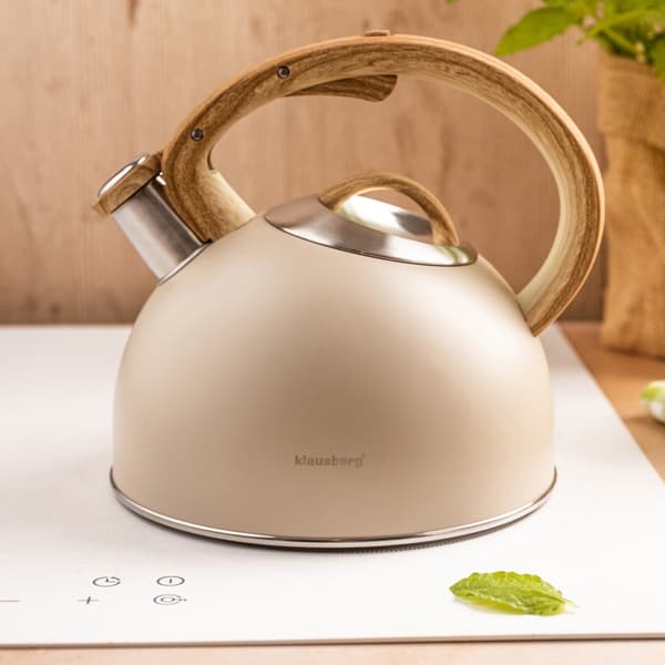 STÅLKEDEL MED FLØJTE 2,5L KLAUSBERG KB-7913