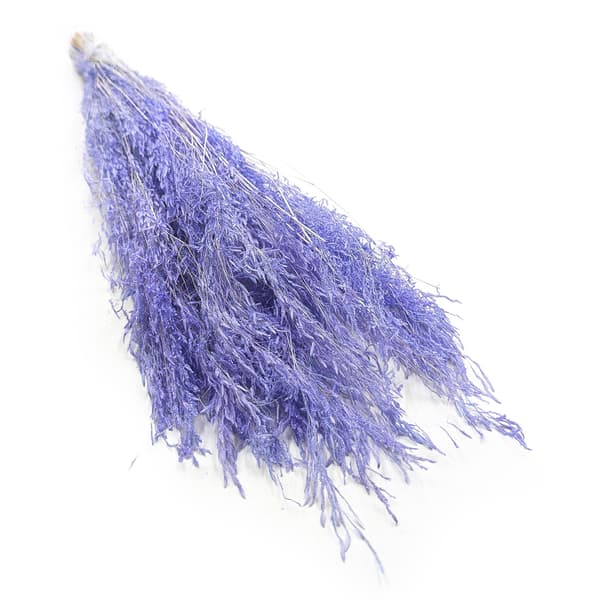 Torkad darrande växt - (Briza Segromigno) - Lavendel