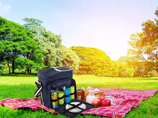 Termisk picnictaske (20) GAB_B
