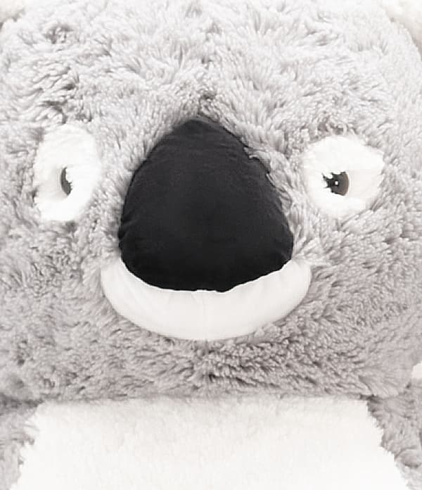Koala 100