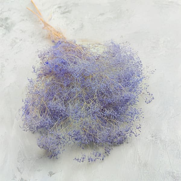 Mini stabiloitu gypsophila - laventeli