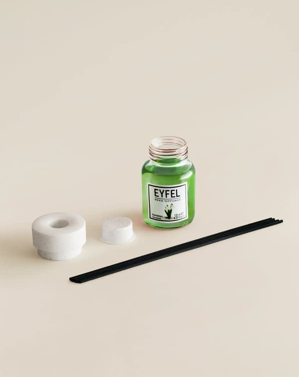 Eyfel - Snowdrop-ilmanraikastin puikkona 120ml