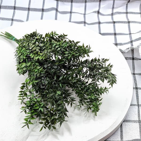 Stabiloitu Ruscus - (Ruscus) - Vihreä