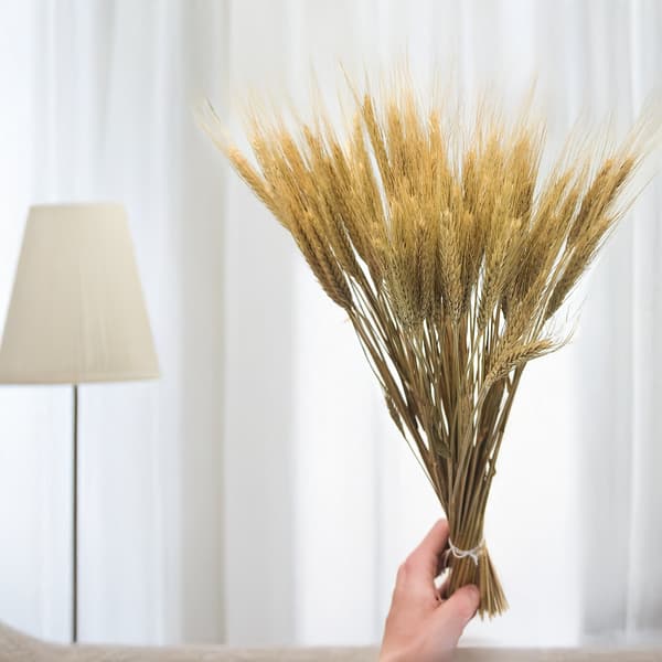 Tørret triticale - Naturlig