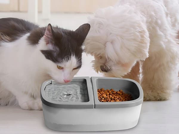 Skål för katt 2 i 1 (30)