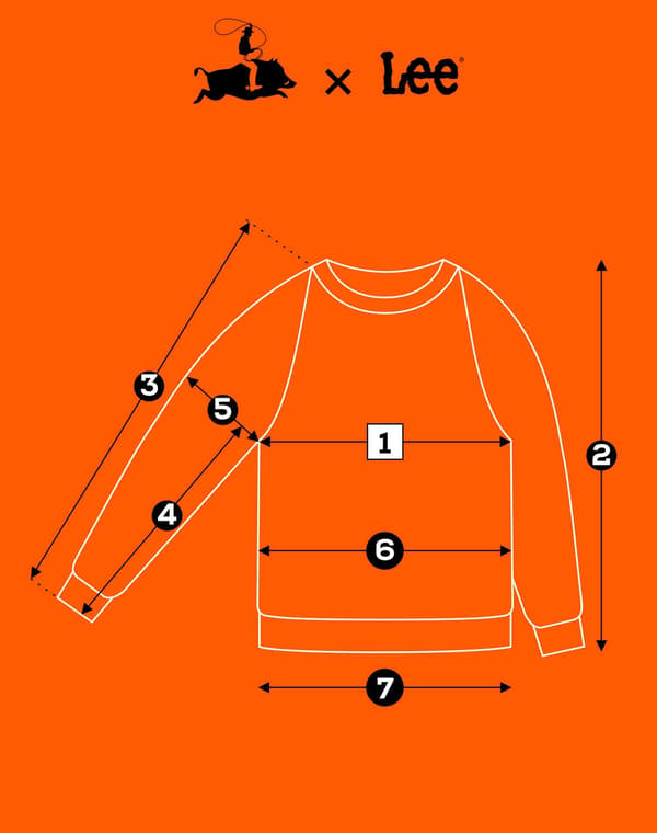 Lee RAGLAN SWEAT WORKWEAR lös raglan tröja bomull dam ränder S
