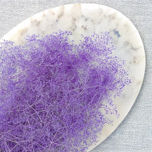 Stabiloitu Kipsi MINI - (gypsophila) - Lila