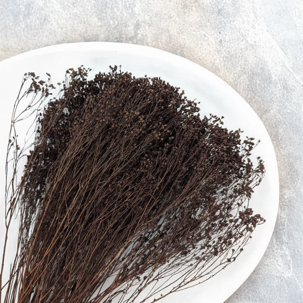 Tørret kostblomst - Kost - Chokolade