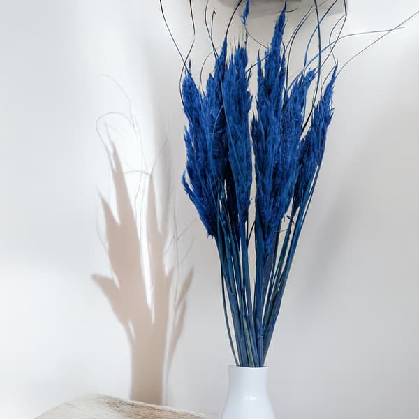 Mini Pampas-ruoho - sininen - 10 kpl -