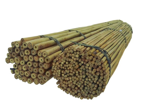 Bambu-stänger 105 cm 12/14 mm /100 st/