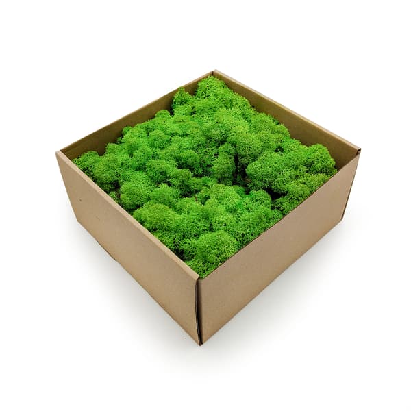 Renmossa - Norge - Gräsgrön 250g NETTO