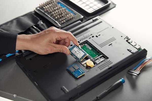 KINGSTON SSD-disk SKC600MS/256G KC600 SATA3