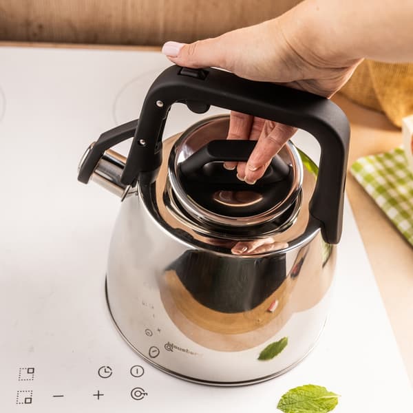 STÅLKEDEL MED FLØJTE 2,5L KLAUSBERG KB-7914