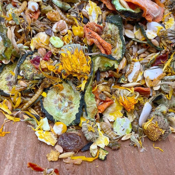 Mixerama | Premium Gemüse & Blüten | Rottefoder 500g - Rottefoder 500g