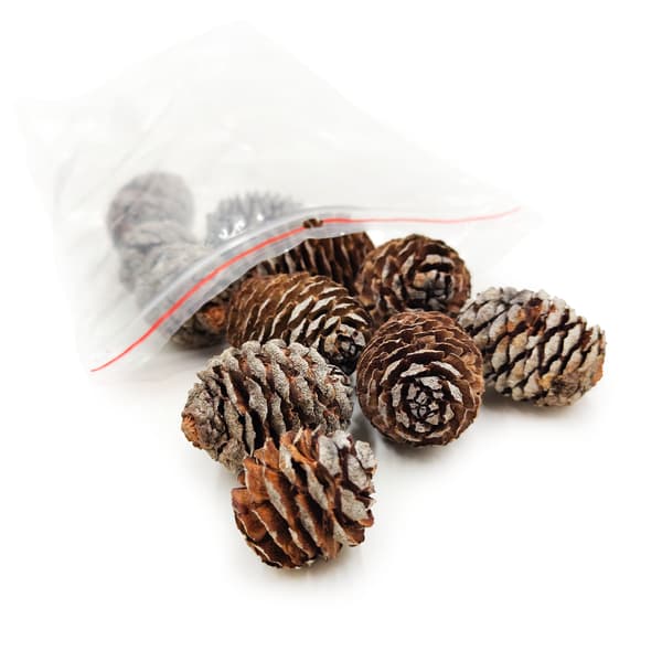 Muirii-strut - Naturlig - 100 g förpackning
