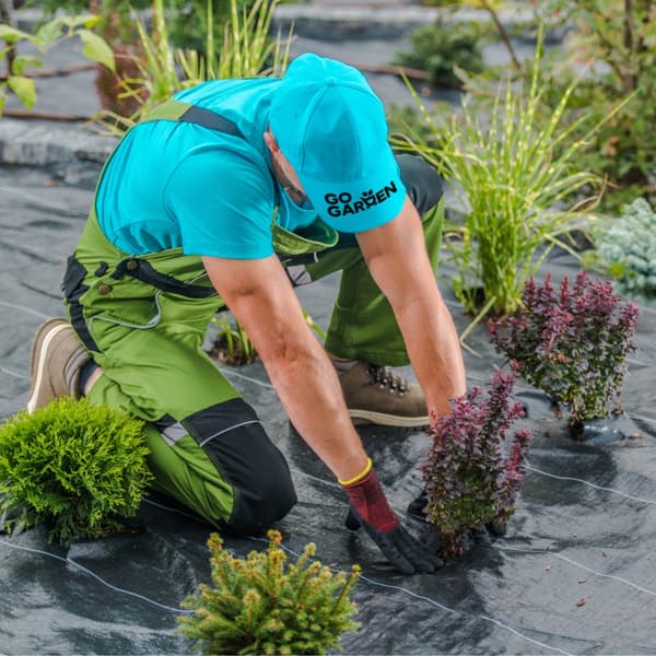 Sort agrotekstil til ukrudt, mulching, 3,2x100m, 70g pløkker