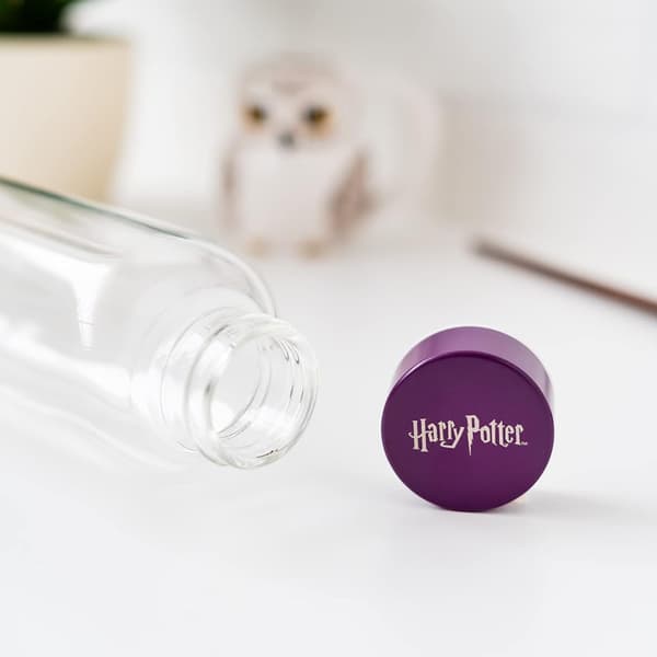 Harry Potter - Glasvandflaske 500 ml (Hogwarts)