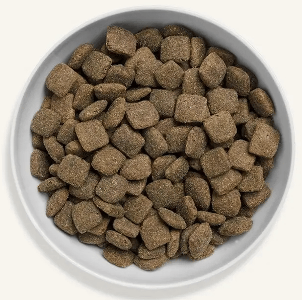 Canagan gräsbetat lamm torrfoder för hundar 12 kg
