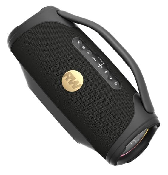 Bluetooth-højttaler Peaq Iconic Vibe 4 PPA 700-Rw Sort