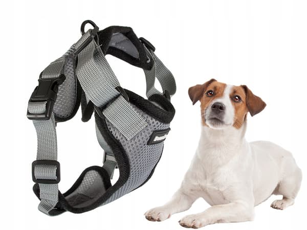 Hundesele L tryckfri (100) GAB_A