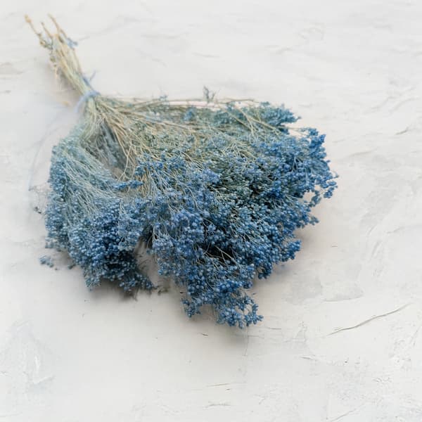 Tørret kostblomst - Kost - Blå
