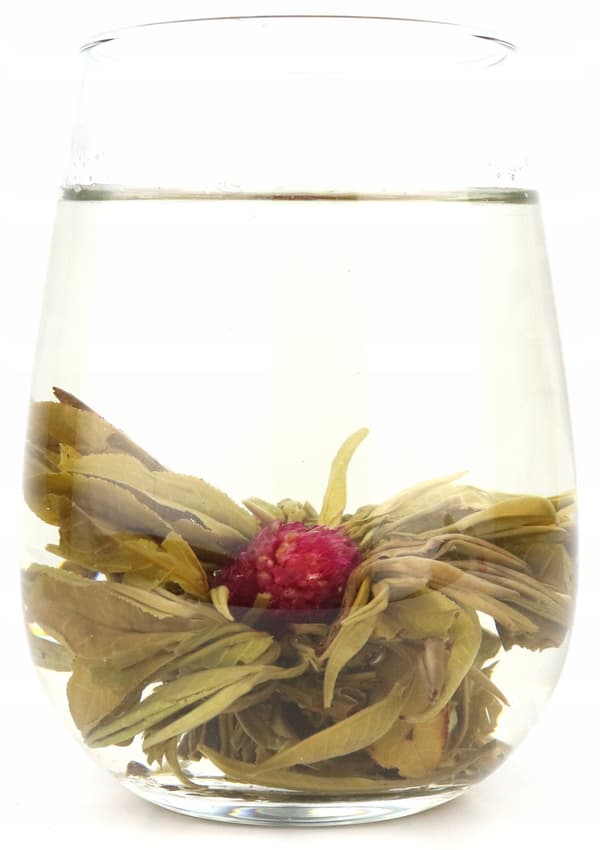 Vit te Blommande Litchi boll Kärleksblomma