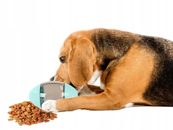 INTERAKTIV BOLD TIL HUND 790-13A (144) GAB_B