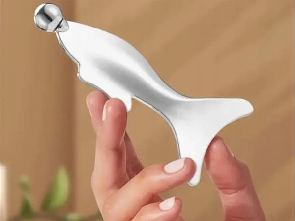 MASSAGER FISK (120) GAB_A