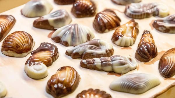 MaitreTruffout belgiske muslingeskaller 50 g