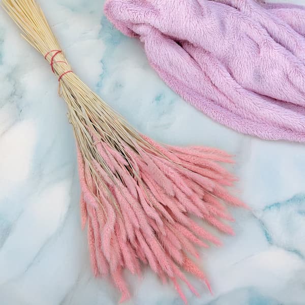 Setaria (Setarea) Rosa - bukett