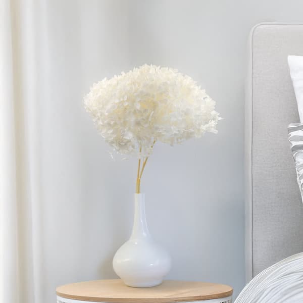 Stabiliserad hortensia (Hydrangea Cabeza) - Royal - Blekt