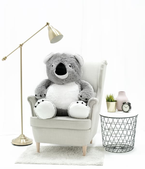 Koala 100