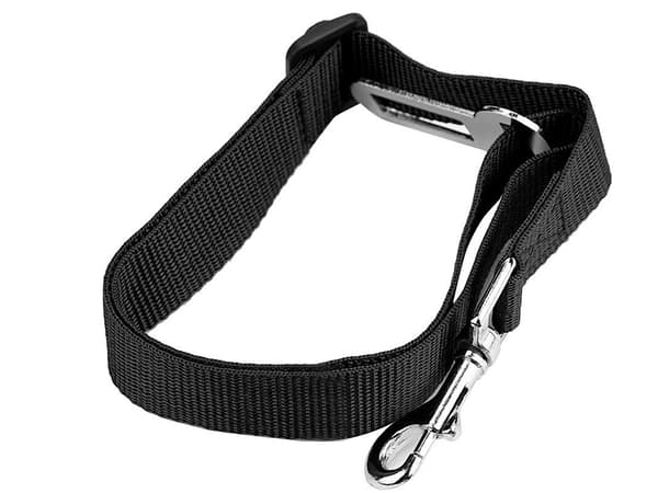 Bälten för hund (360) GAB_A